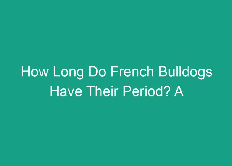 How Long Do French Bulldogs Have Their Period? A Comprehensive Guide