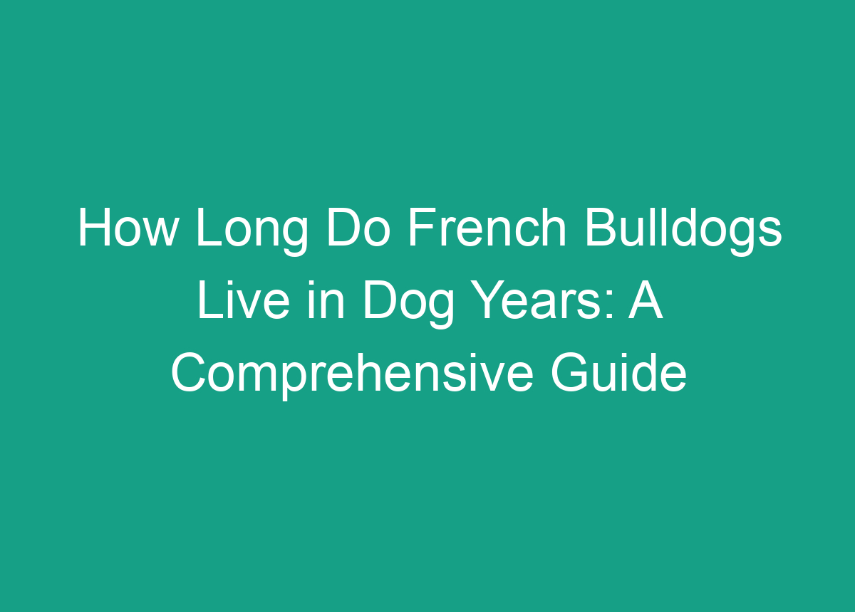 How Long Do French Bulldogs Live In Dog Years: A Comprehensive Guide