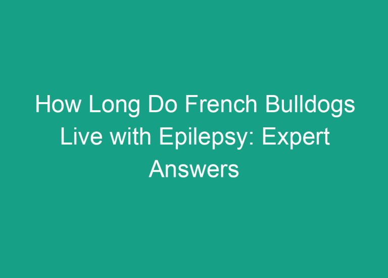 How Long Do French Bulldogs Live with Epilepsy: Expert Answers