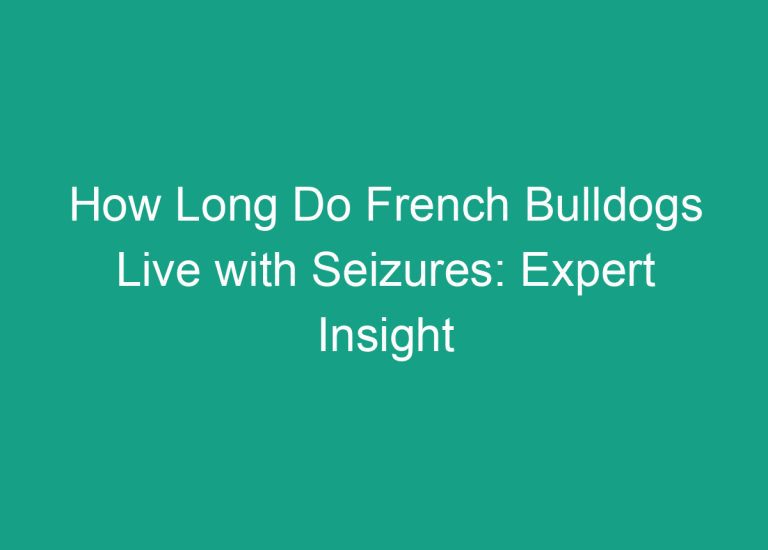 How Long Do French Bulldogs Live with Seizures: Expert Insight