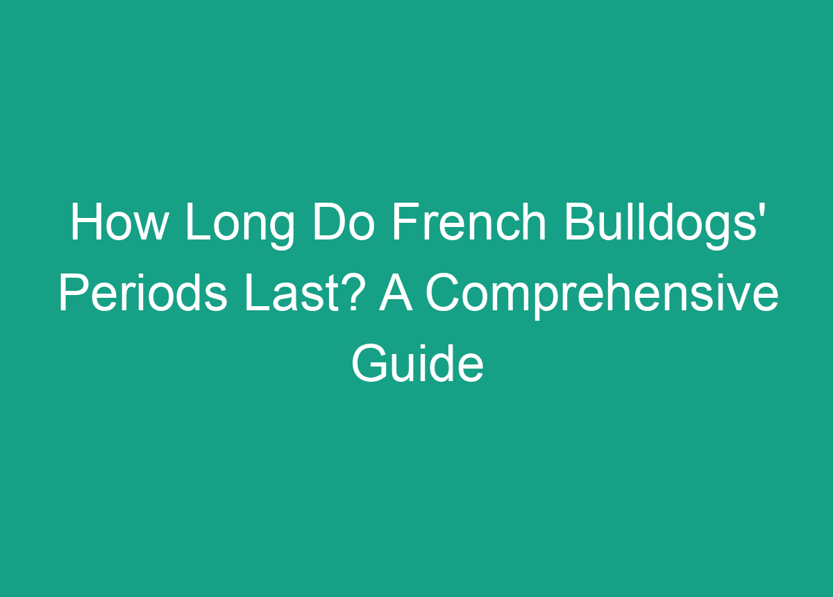 How Long Do French Bulldogs' Periods Last? A Comprehensive Guide