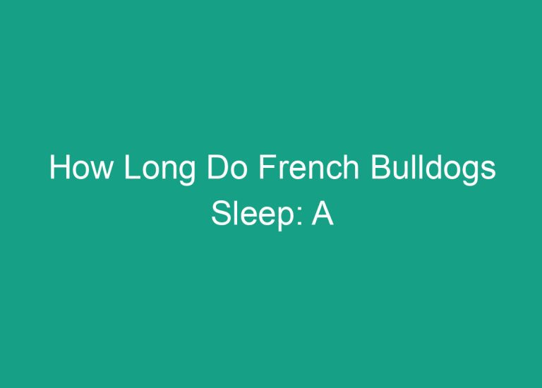 How Long Do French Bulldogs Sleep: A Comprehensive Guide