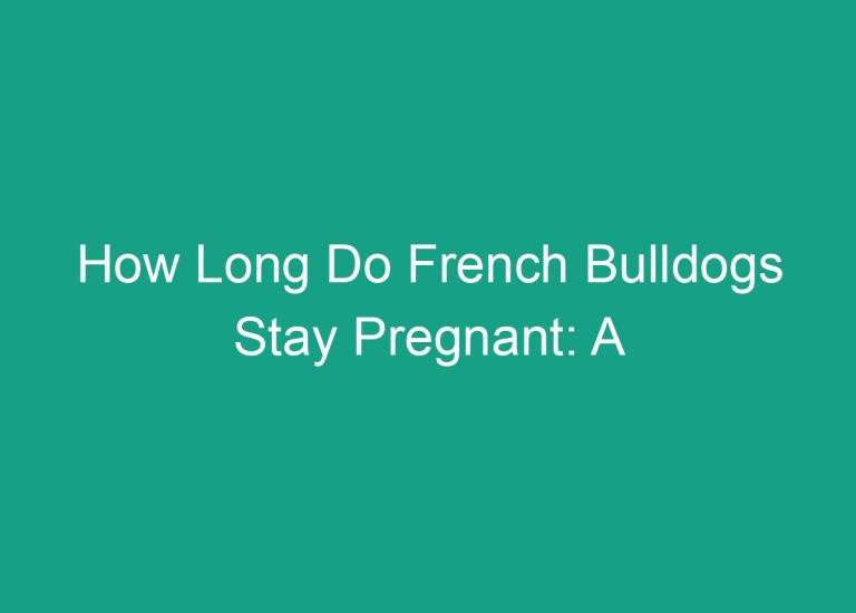 How Long Do French Bulldogs Stay Pregnant: A Guide to Pregnancy Duration