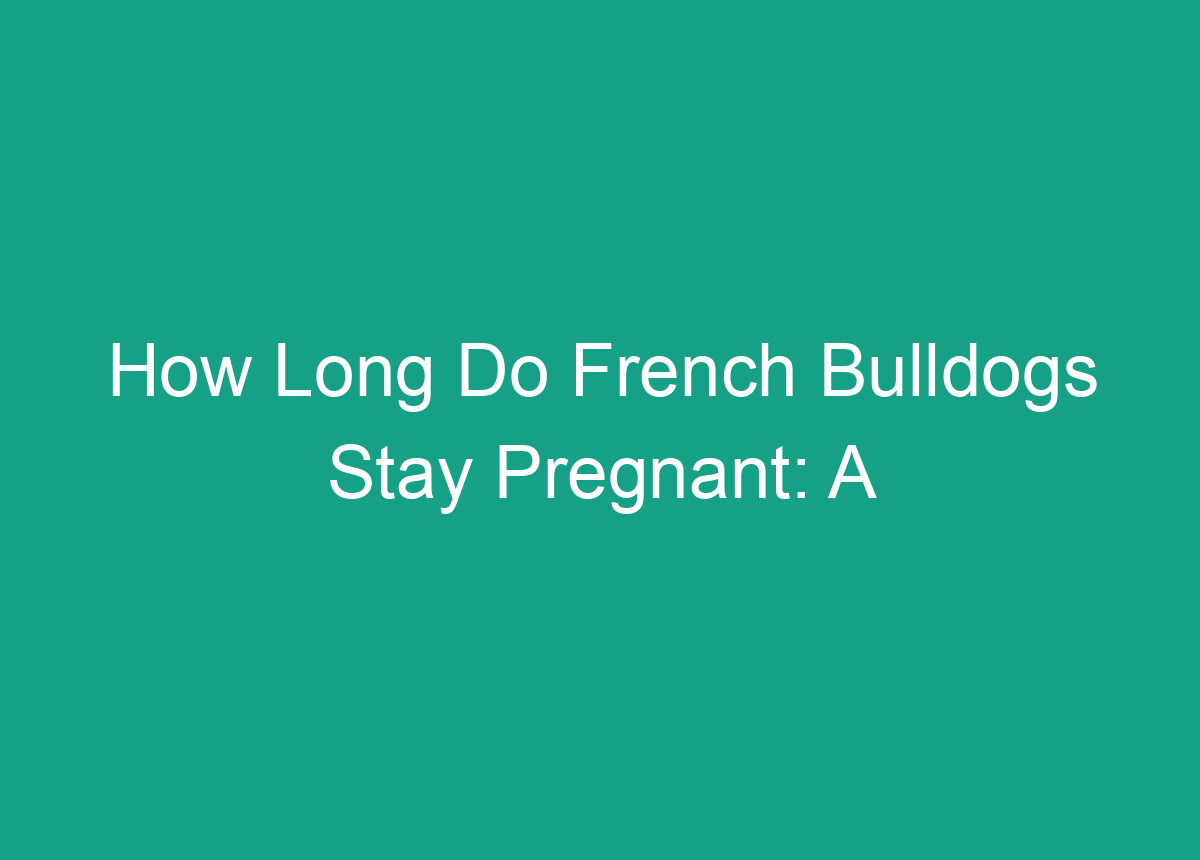 How Long Do French Bulldogs Stay Pregnant: A Guide To Pregnancy Duration