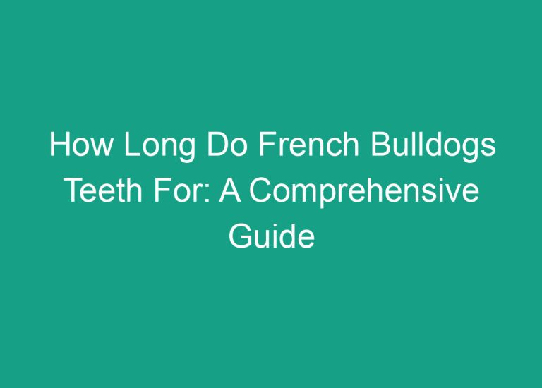How Long Do French Bulldogs Teeth For: A Comprehensive Guide