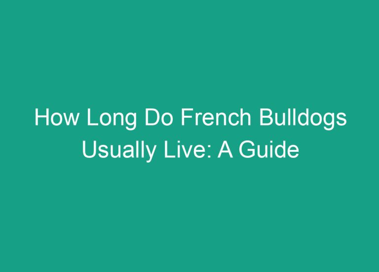 How Long Do French Bulldogs Usually Live: A Guide to Lifespan Expectancy
