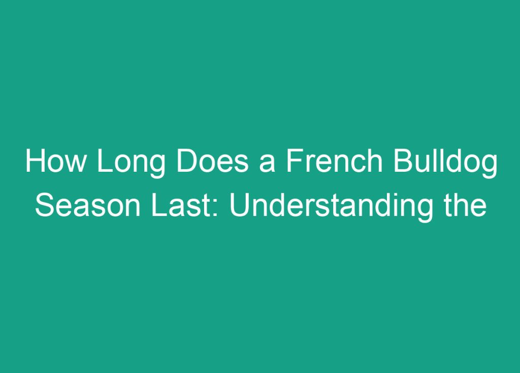 how-long-does-it-take-french-bulldogs-to-digest-food-a-clear-and