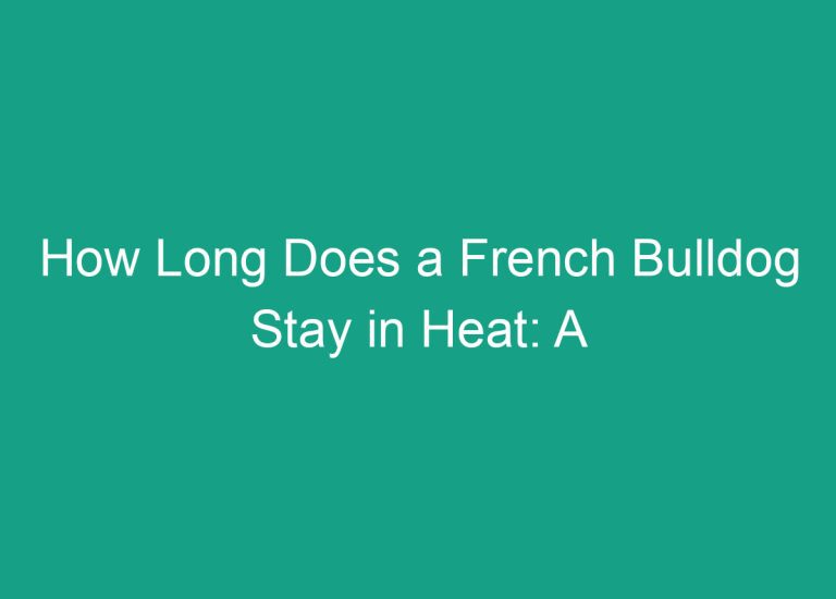 How Long Does a French Bulldog Stay in Heat: A Guide for Pet Owners
