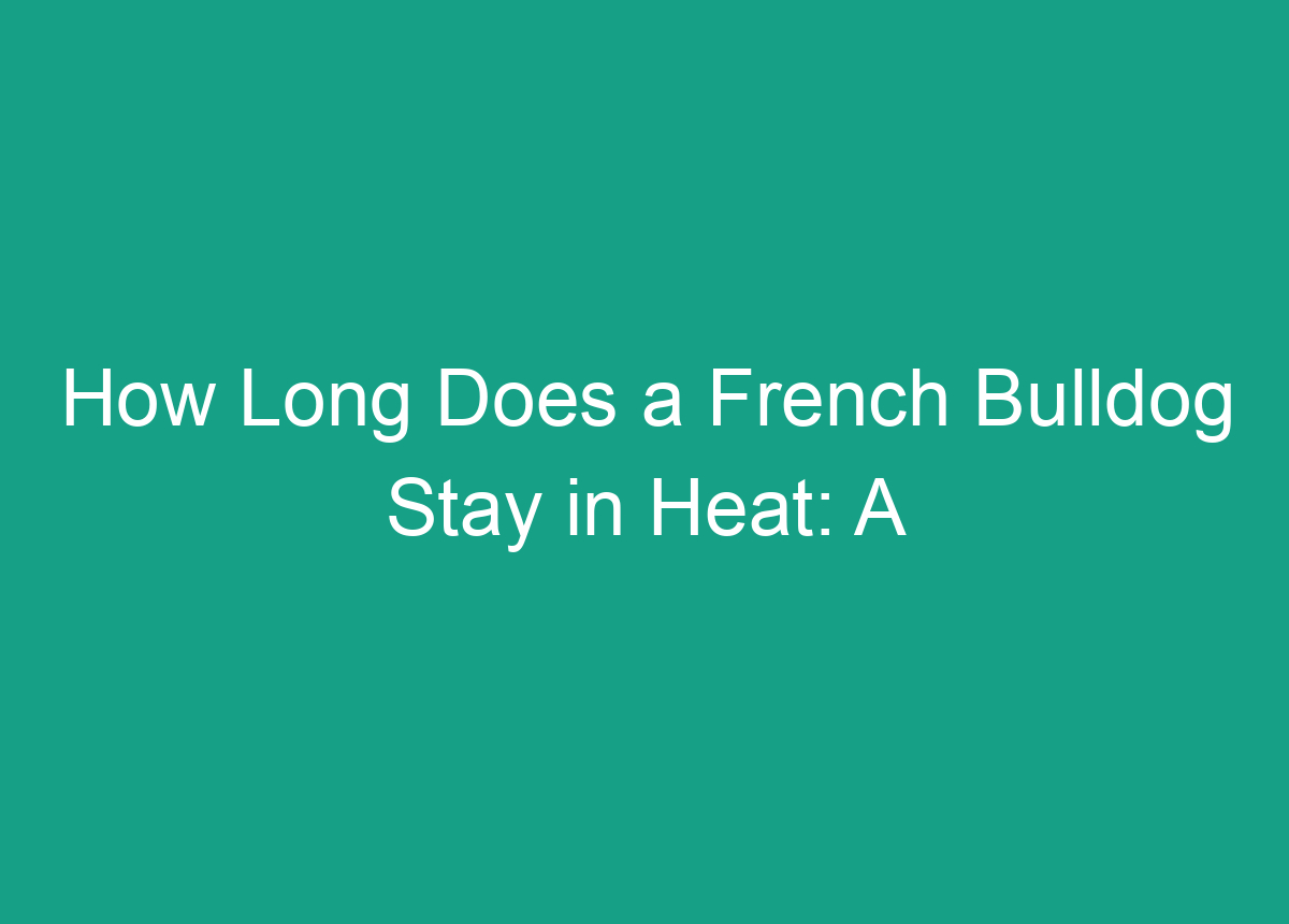 how-long-does-a-french-bulldog-stay-in-heat-a-guide-for-pet-owners