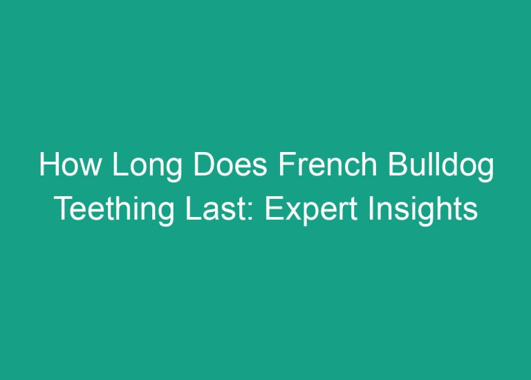 How Long Does French Bulldog Teething Last: Expert Insights