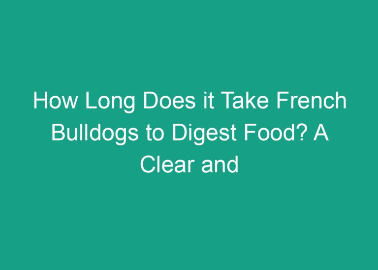 How Long Does it Take French Bulldogs to Digest Food? A Clear and Knowledgeable Answer