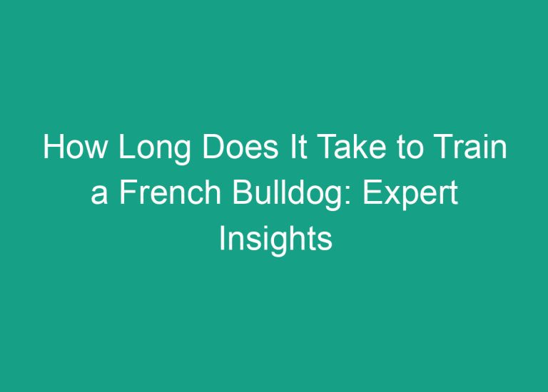 How Long Does It Take to Train a French Bulldog: Expert Insights