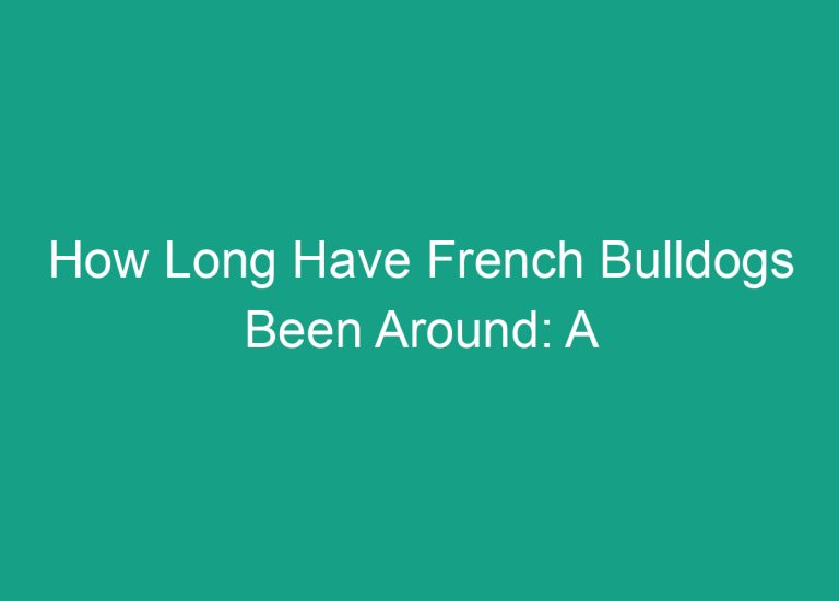 How Long Have French Bulldogs Been Around: A Brief History