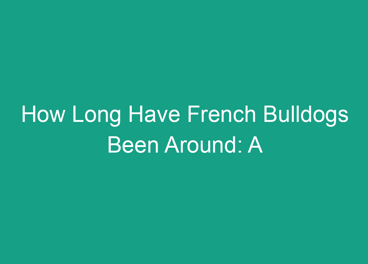 How Long Have French Bulldogs Been Around A Brief History