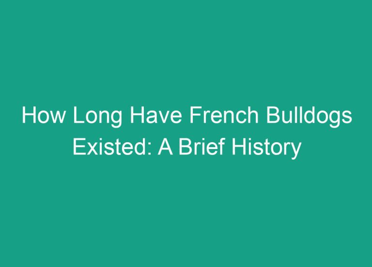 How Long Have French Bulldogs Existed: A Brief History