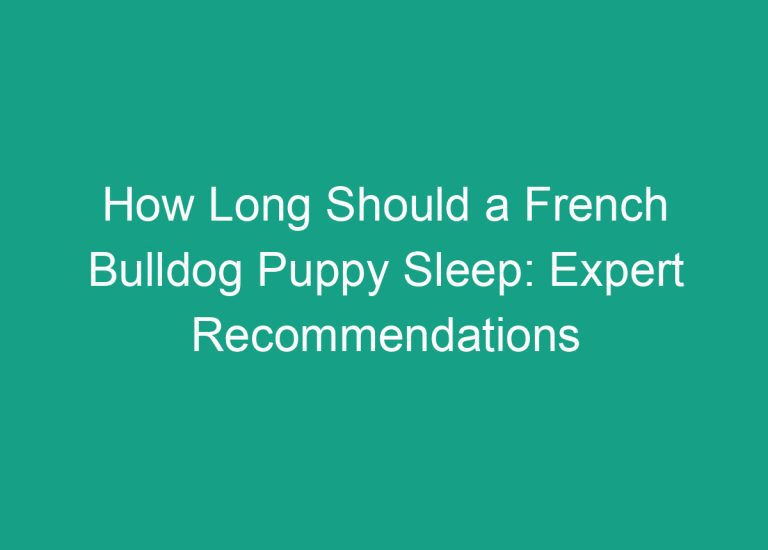How Long Should a French Bulldog Puppy Sleep: Expert Recommendations