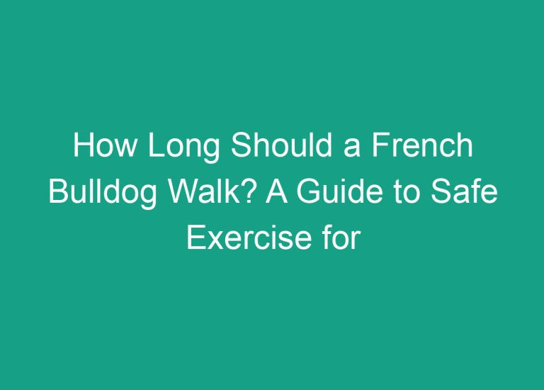 How Long Should a French Bulldog Walk? A Guide to Safe Exercise for Your Frenchie