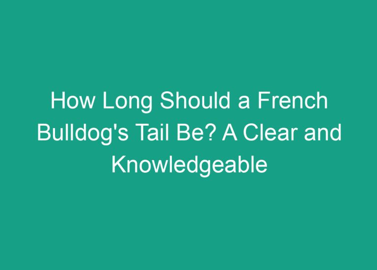 How Long Should a French Bulldog’s Tail Be? A Clear and Knowledgeable Guide.