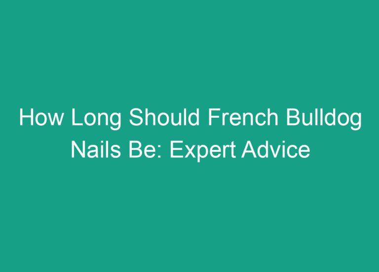 How Long Should French Bulldog Nails Be: Expert Advice