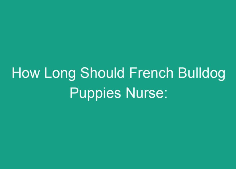 How Long Should French Bulldog Puppies Nurse: Expert Advice
