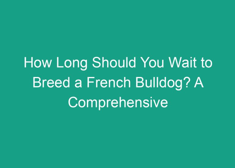 How Long Should You Wait to Breed a French Bulldog? A Comprehensive Guide
