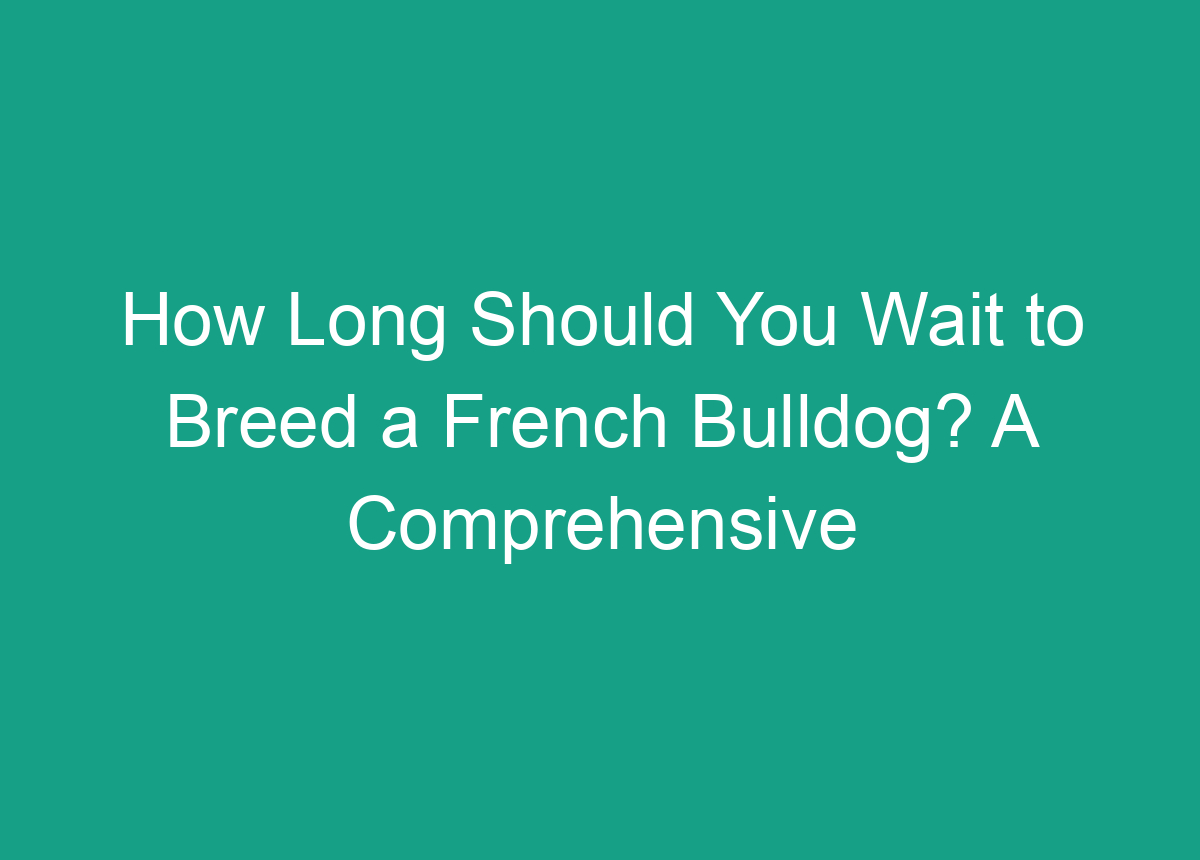 How Long Should You Wait To Breed A French Bulldog? A Comprehensive Guide