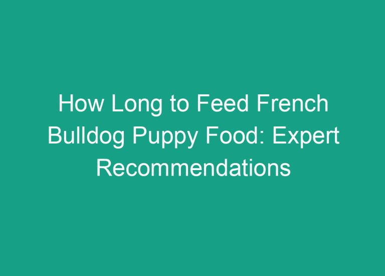 How Long to Feed French Bulldog Puppy Food: Expert Recommendations