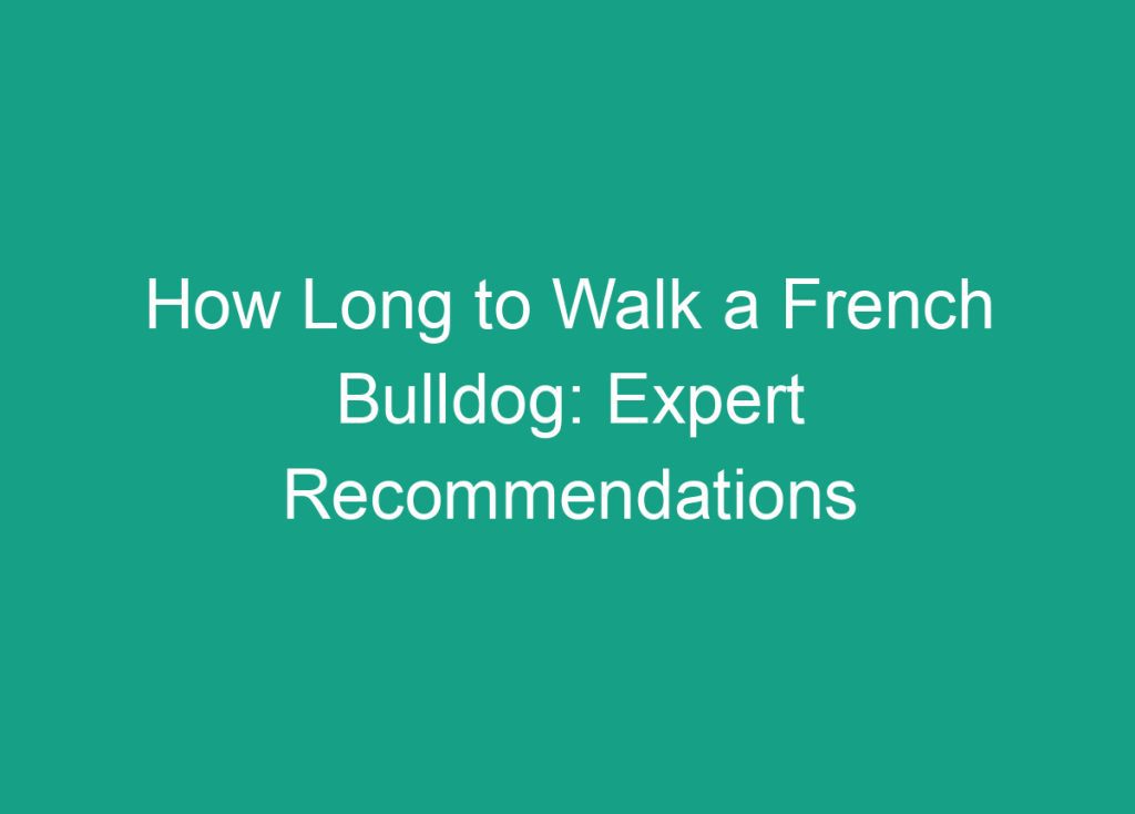 How Long Can French Bulldogs Safely Stay Outside In The Heat how-long-can-french-bulldogs-safely-stay-outside-in-the-heat