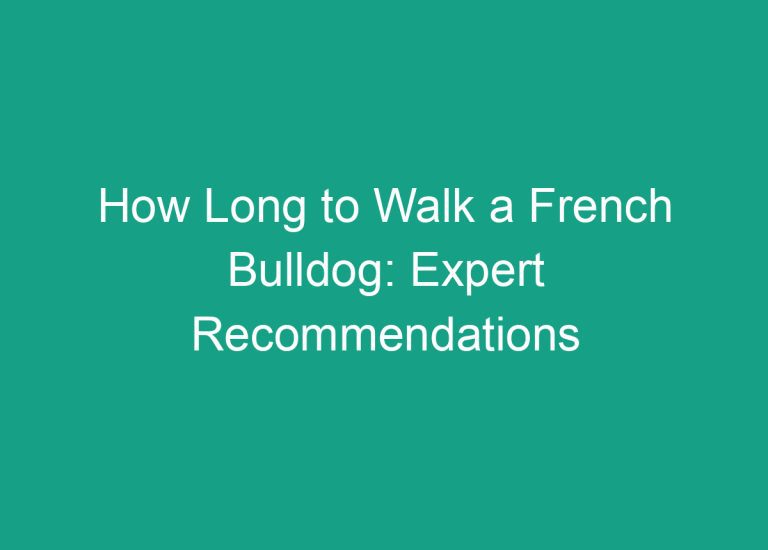 How Long to Walk a French Bulldog: Expert Recommendations