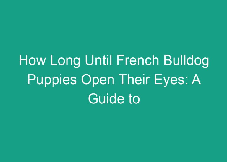 How Long Until French Bulldog Puppies Open Their Eyes: A Guide to Puppy Development