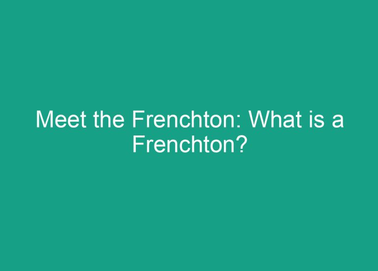 Meet the Frenchton: What is a Frenchton?
