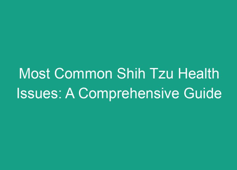 Most Common Shih Tzu Health Issues: A Comprehensive Guide