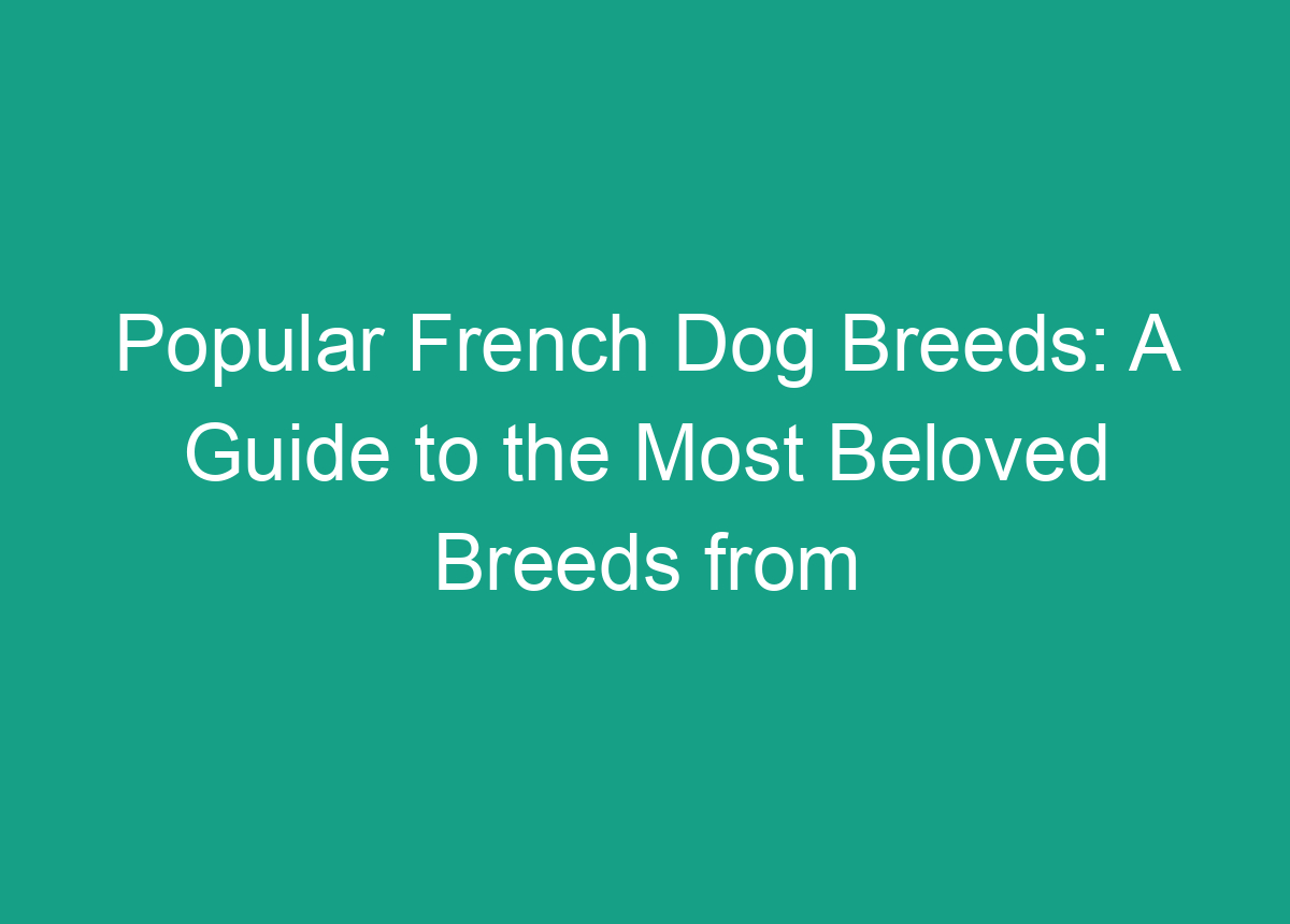 Popular French Dog Breeds: A Guide To The Most Beloved Breeds From France