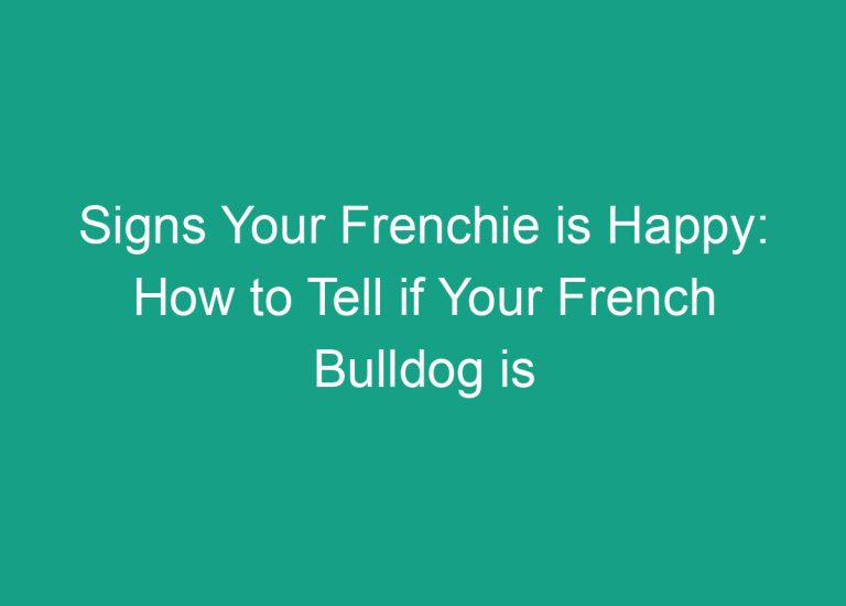 Signs Your Frenchie is Happy: How to Tell if Your French Bulldog is Content and Joyful