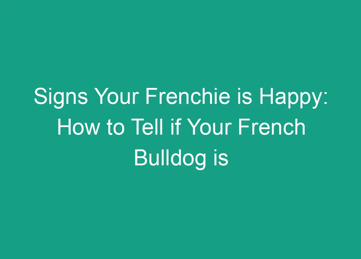 Signs Your Frenchie Is Happy: How To Tell If Your French Bulldog Is ...