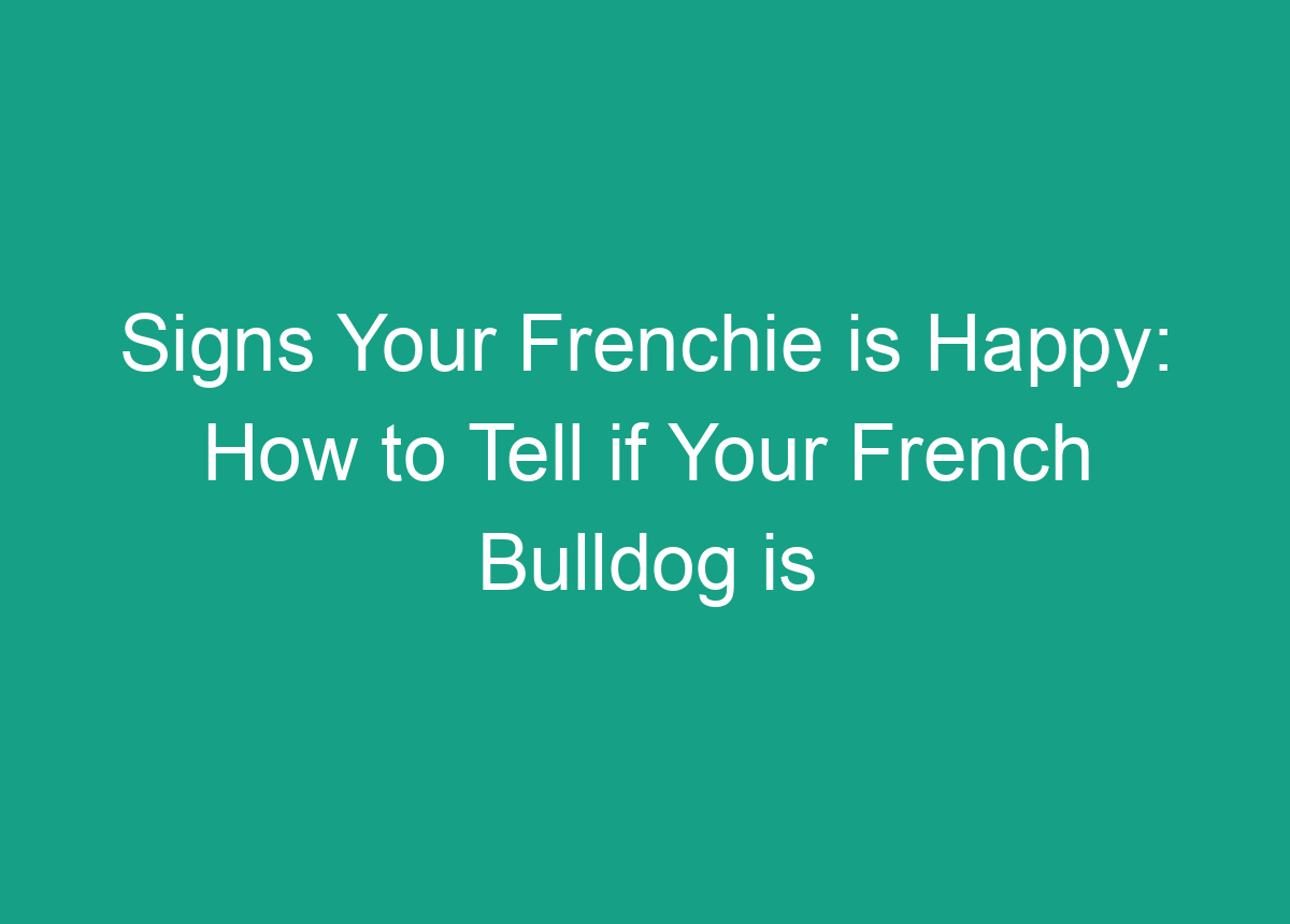 Signs Your Frenchie Is Happy: How To Tell If Your French Bulldog Is ...