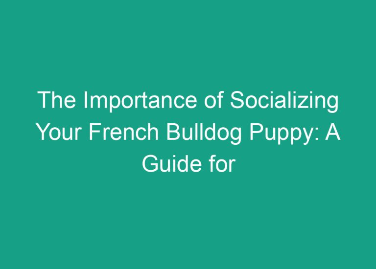 The Importance of Socializing Your French Bulldog Puppy: A Guide for New Owners