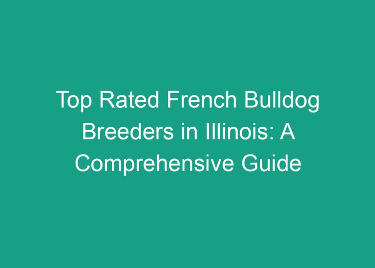 Top Rated French Bulldog Breeders in Illinois: A Comprehensive Guide