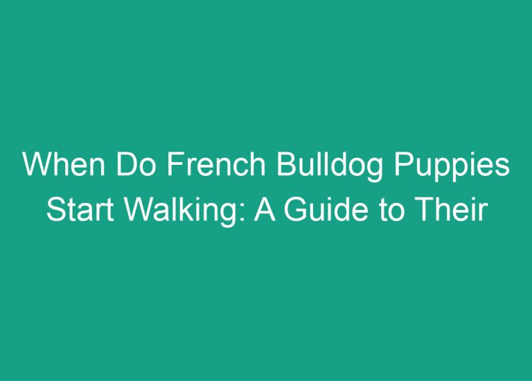 When Do French Bulldog Puppies Start Walking: A Guide to Their Development