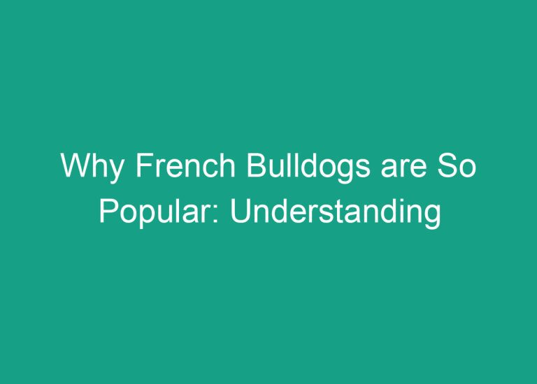 Why French Bulldogs are So Popular: Understanding the Breed’s Appeal