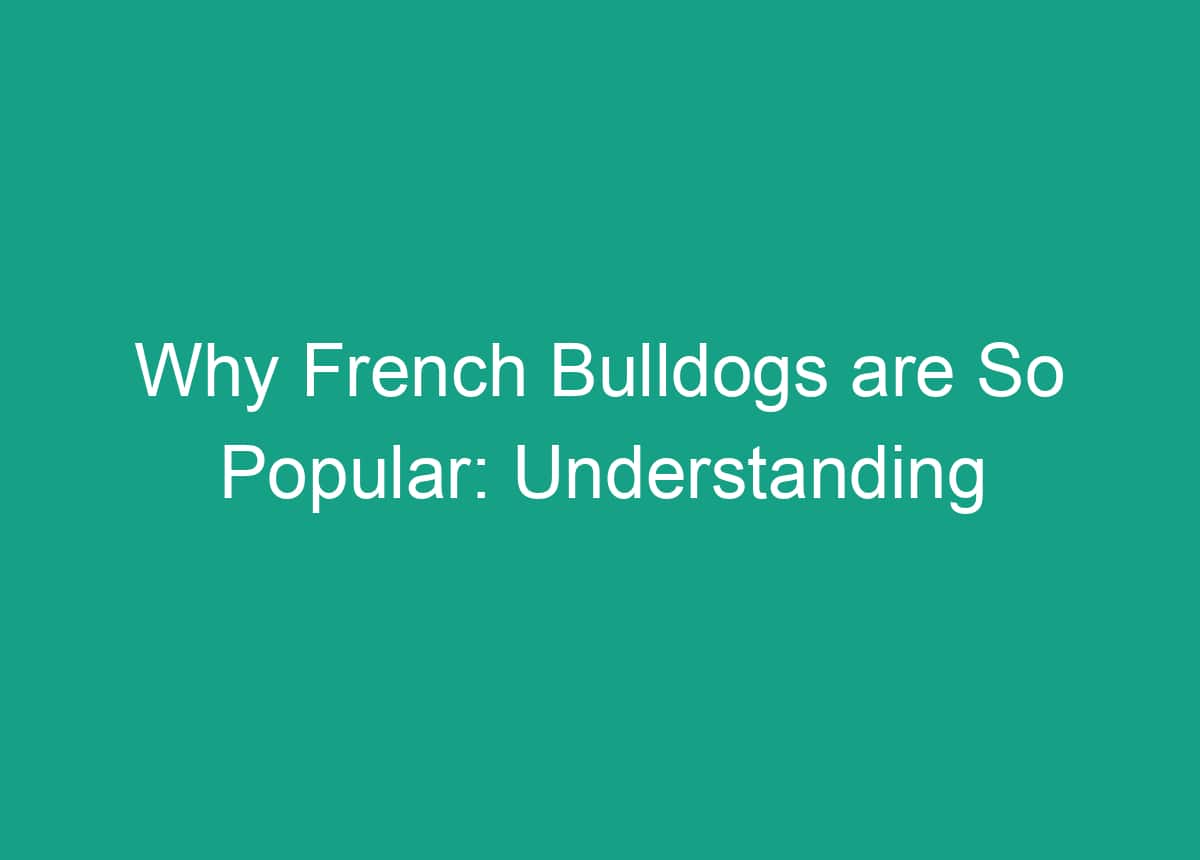 Why French Bulldogs Are So Popular Understanding The Breed's Appeal