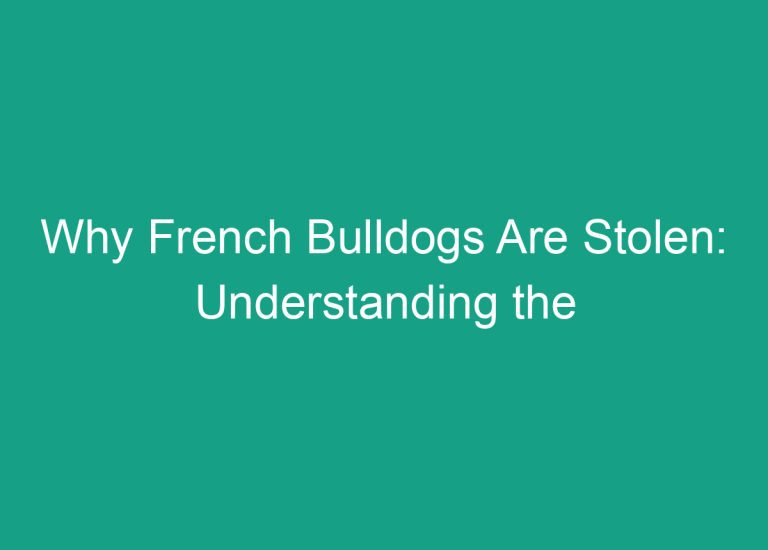 Why French Bulldogs Are Stolen: Understanding the Reasons Behind the High Demand for This Breed