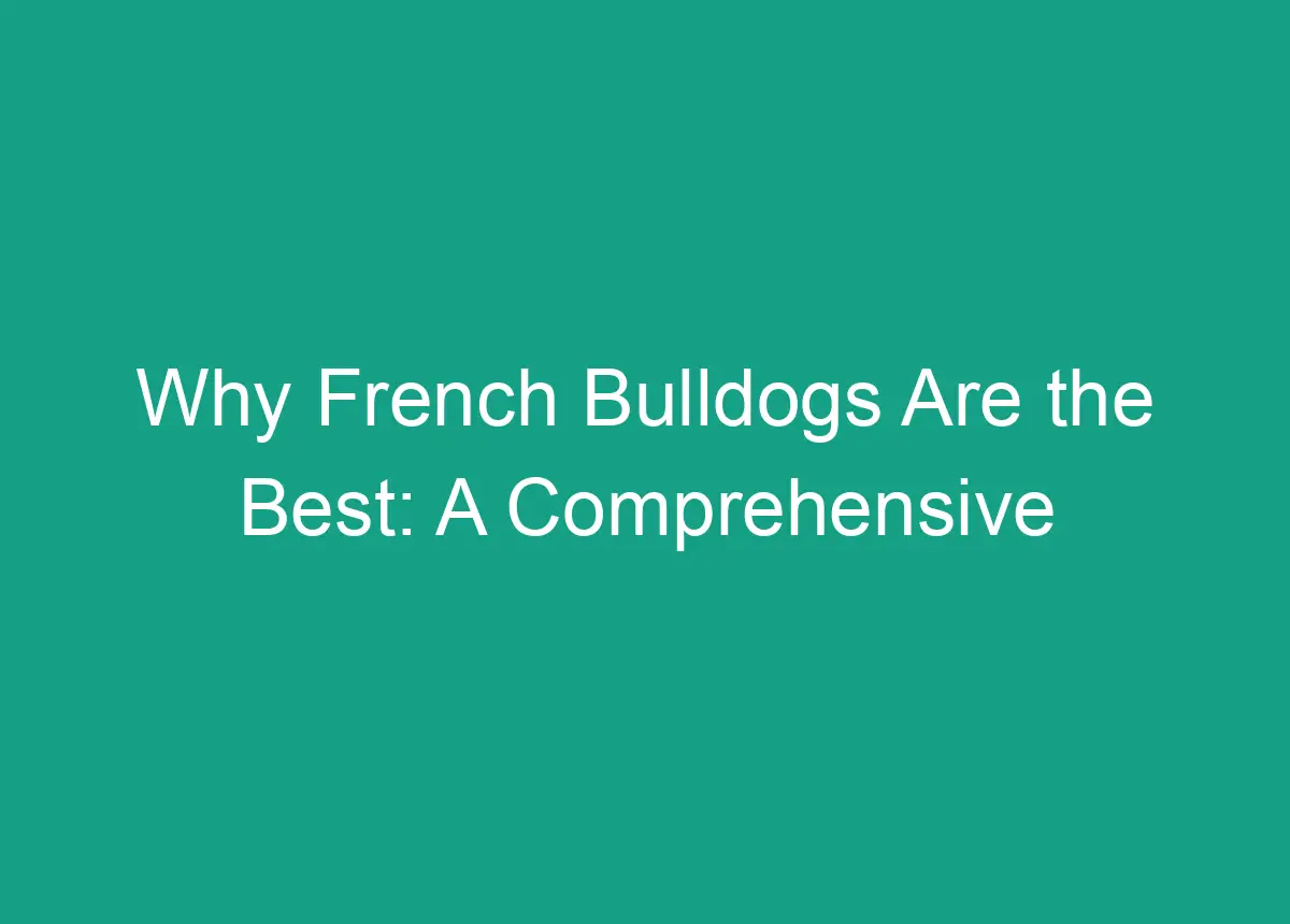 Why French Bulldogs Are The Best: A Comprehensive Analysis