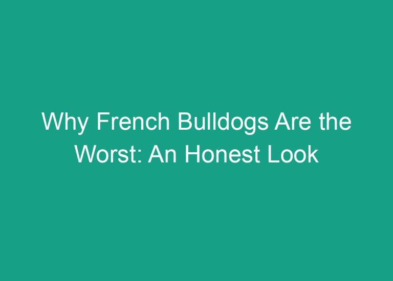 Why French Bulldogs Are the Worst: An Honest Look at Their Temperament and Health Issues