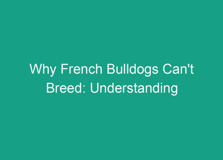 Why French Bulldogs Can’t Breed: Understanding the Health Risks and Challenges