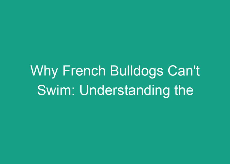 Why French Bulldogs Can’t Swim: Understanding the Physical Limitations of the Breed