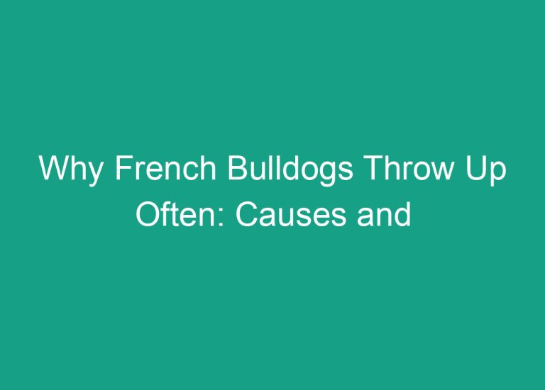 Why French Bulldogs Throw Up Often: Causes and Solutions