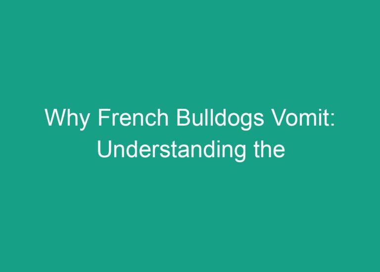 Why French Bulldogs Vomit: Understanding the Possible Causes