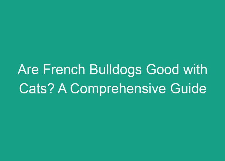 Are French Bulldogs Good with Cats? A Comprehensive Guide
