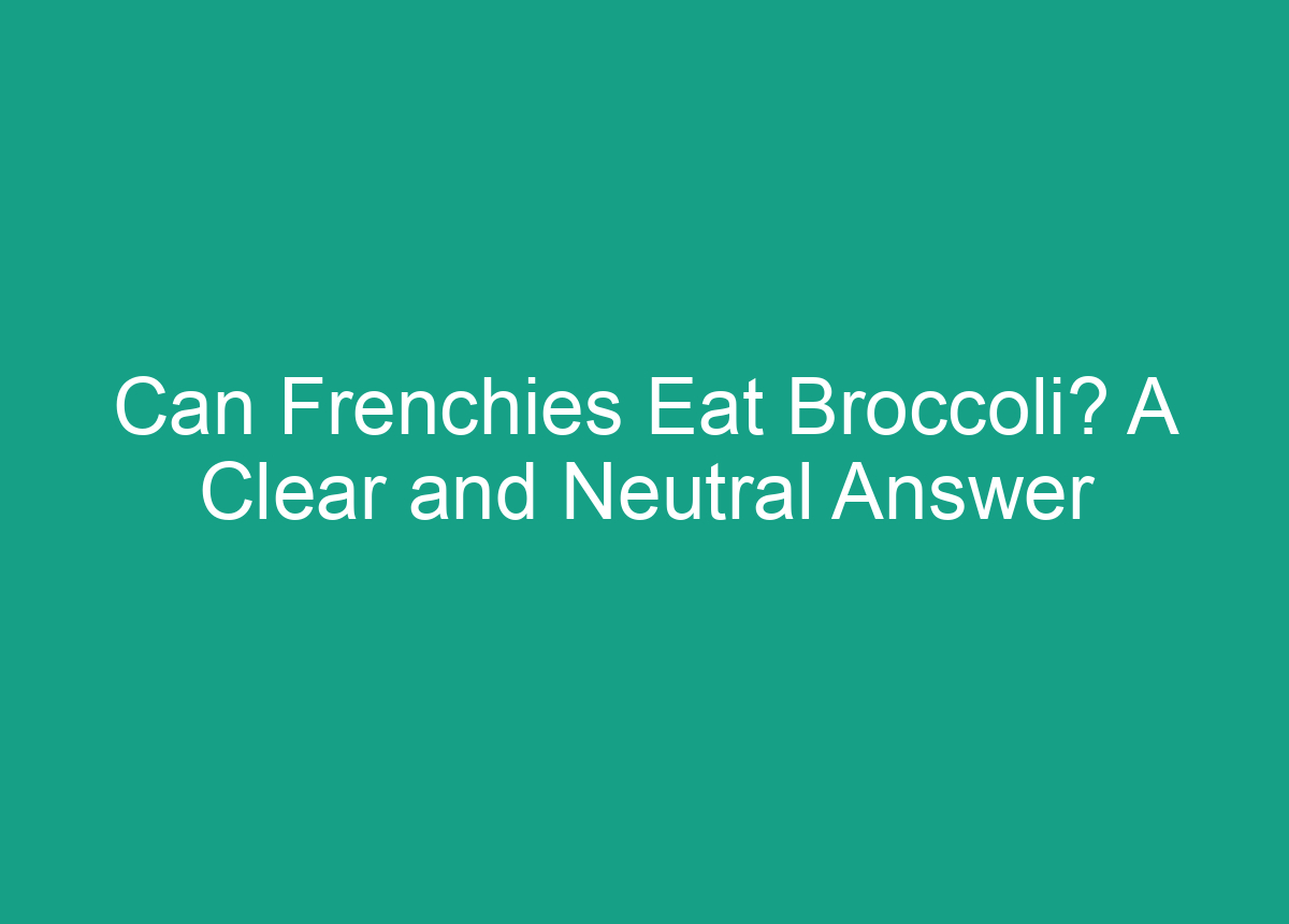 Can Frenchies Eat Broccoli? A Clear And Neutral Answer